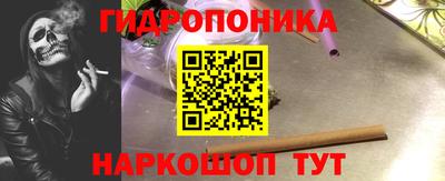 стаф Новокубанск