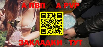 стаф Новокубанск